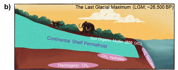 First, some of the scientific stuff. During the last glacial period, sea level was ~130 meters lower than today. This exposed an area the size of China around the Arctic Ocean. Steppe ecosystems accumulated ~500 billion tons of organic carbon in their frozen soil. 2/n