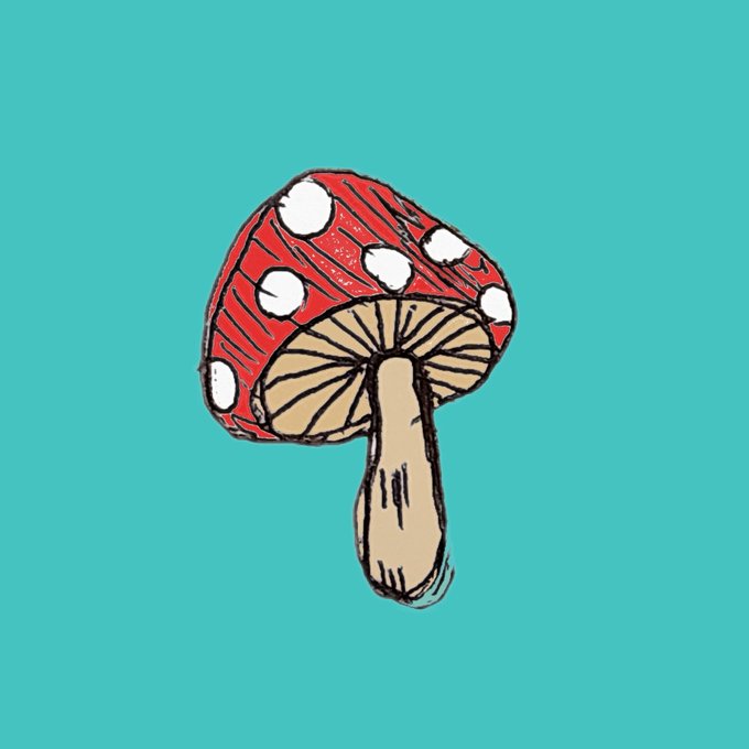 きのこのこのtwitterイラスト検索結果