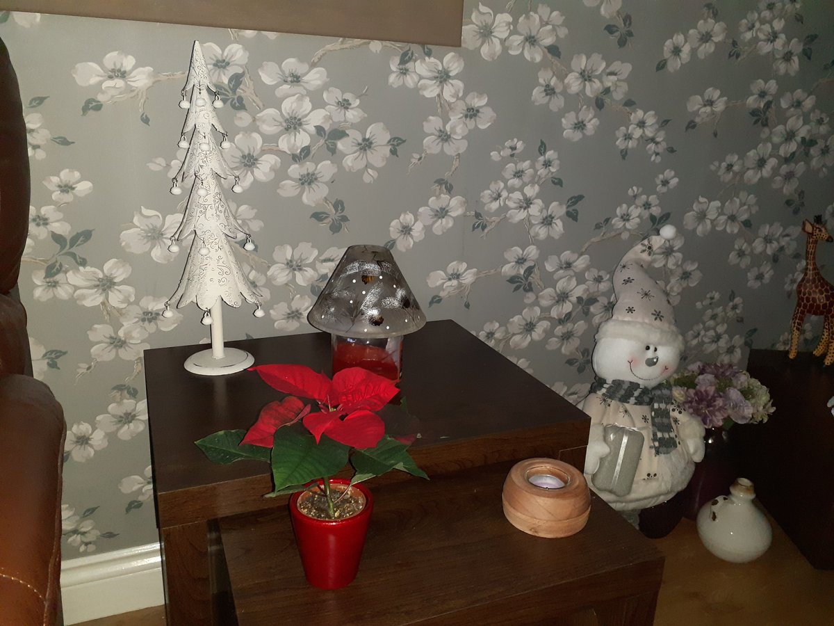 Stephen44882740's tweet photo. The Christmas poinsettia is in place.The giraffe snuck in. https://t.co/gHeMc5HAEY