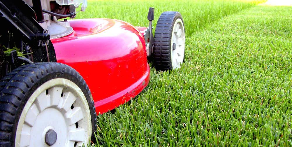 The5dotdotdot's tweet photo. This week: The five things people shouldn’t care about. Separation of laundry, hand bags, and more talk about lawns. https://t.co/nbm7WhkFp3