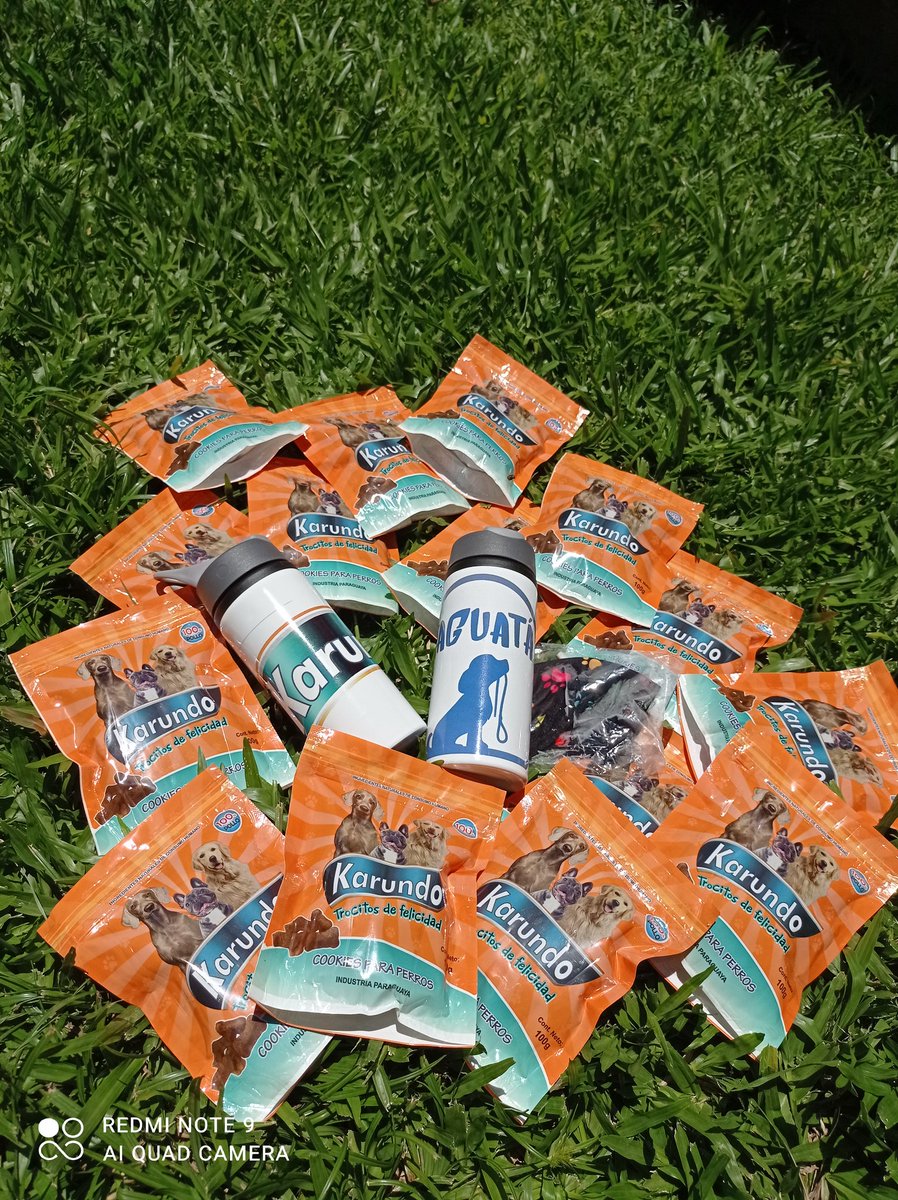 ArturitoVill's tweet photo. Hola, chicos! Tenemos SORRTTTEOOOOOO!!!🥳👏🥳👏💥
- 10 paquetes de @karundo.py, cookies deliciosas para tus mascotas!
- 2 termitos, uno de @karundo.py y otro de @jaguatapaseos 
- 1 tapabocas con huellitas
En @jaguatapaseos en IG tienen las instrucciones!
SORTEAMOS EL LUNES 28🦮🐕‍🦺 https://t.co/nNtB4ViuoW