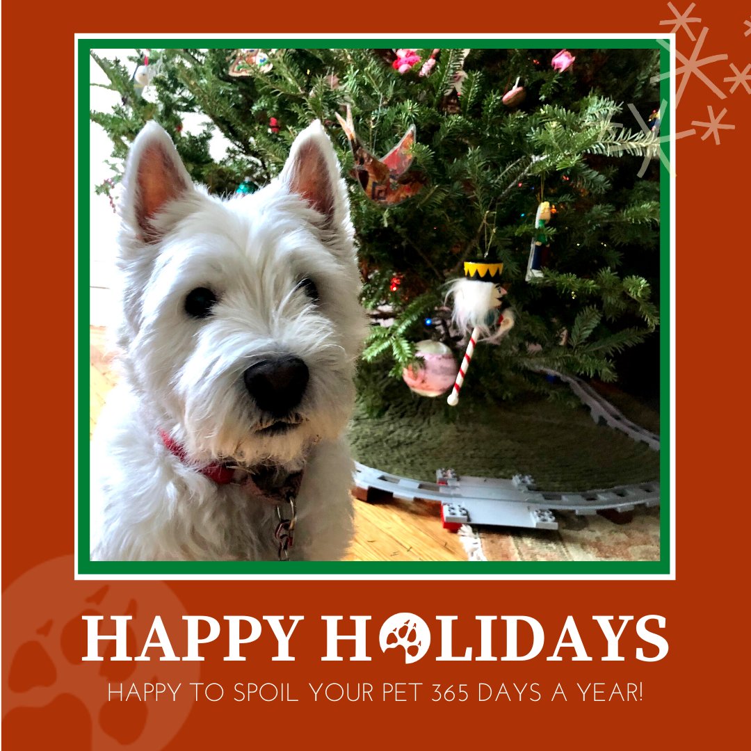 BrooklynBark's tweet photo. Can you believe there are just a few more days in 2020? Neither can we! ⁠
⁠
Today is the last day to book Xmas. Please make sure you book one of the few slots left before the end of today.⁠

https://t.co/pxJPdWRwr7 https://t.co/VQoyWy4P8Y