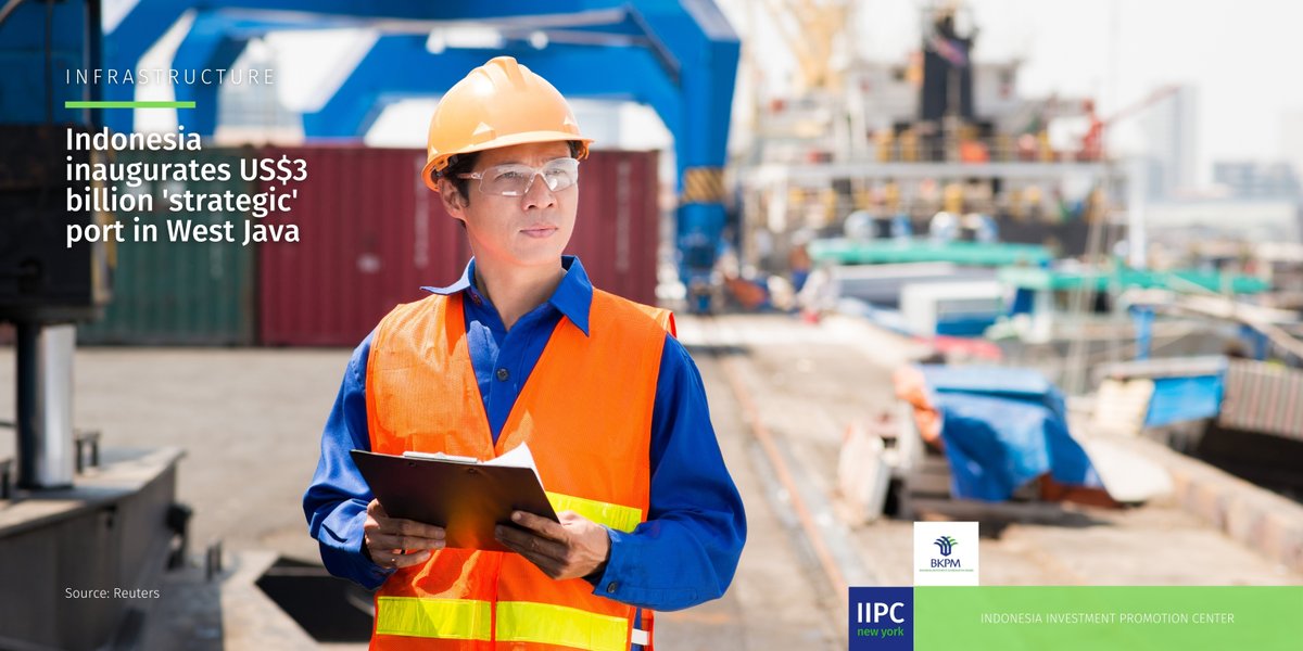 Тальман в порту. Сюрвейер кто это. Тальман профессия. Морской сюрвейер. Портовая женщина.