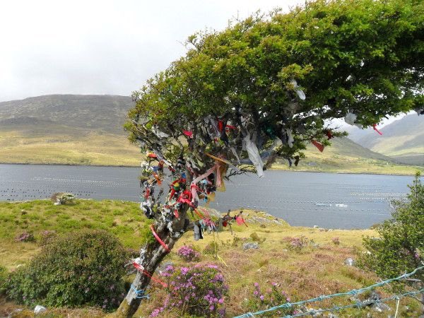 In Celtic religion trees, woods, mountains, cairns, wells & other features could be the abode of a god. Thus the association of trees & offerings. The tree itself could be sacred or may, by a process of translation, become the locus of a god from a their living place nearby.