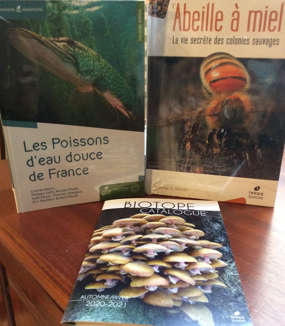 LibRossolis's tweet photo. “Les Poissons d’eau douce de France” (2ème éd.) et “Abeille à miel” parus chez notre partenaire @Biotope_  sont désormais disponibles.
https://t.co/LXr7M2kcFV
https://t.co/XpYNUVR3pc
#poissonsdeaudouce #abeille #editionsbiotope https://t.co/pAU82RgVe4