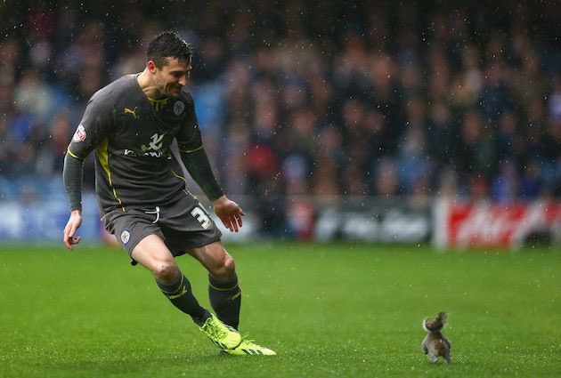 I’m sorry we have to go through this one again