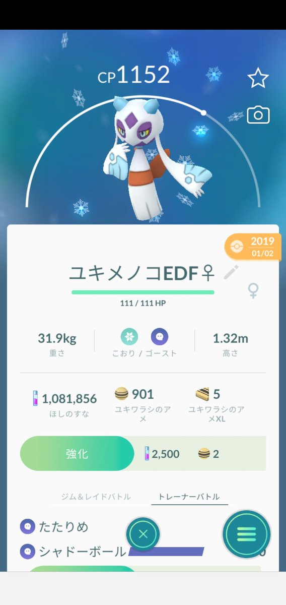 ぶぎょう 帯の色が違う ポケモンgo 色違い ユキメノコ