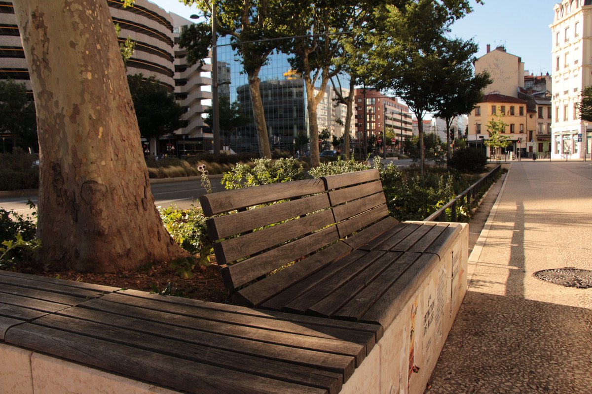 Favoriser la #marche: quels aménagements, quelles démarches pour mieux accueillir les piétons ?
▶ Une série de fiches du #Cerema basée sur des retours d'expériences
#mobilite
cerema.fr/fr/actualites/…