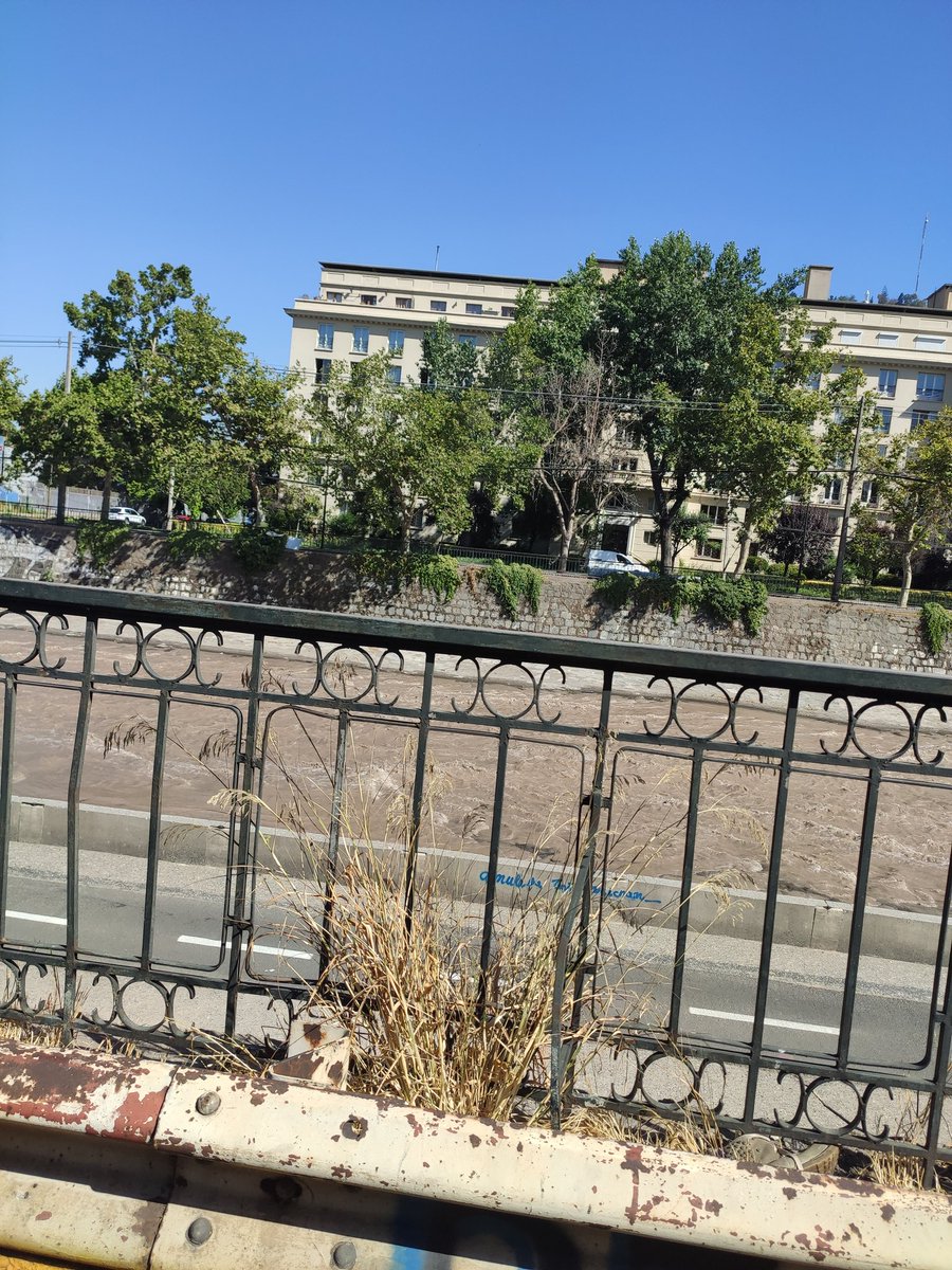 FARCChile's tweet photo. La veyeza de shile Proidencia 🤣🇨🇱🍄 https://t.co/lBRUk6Imc4