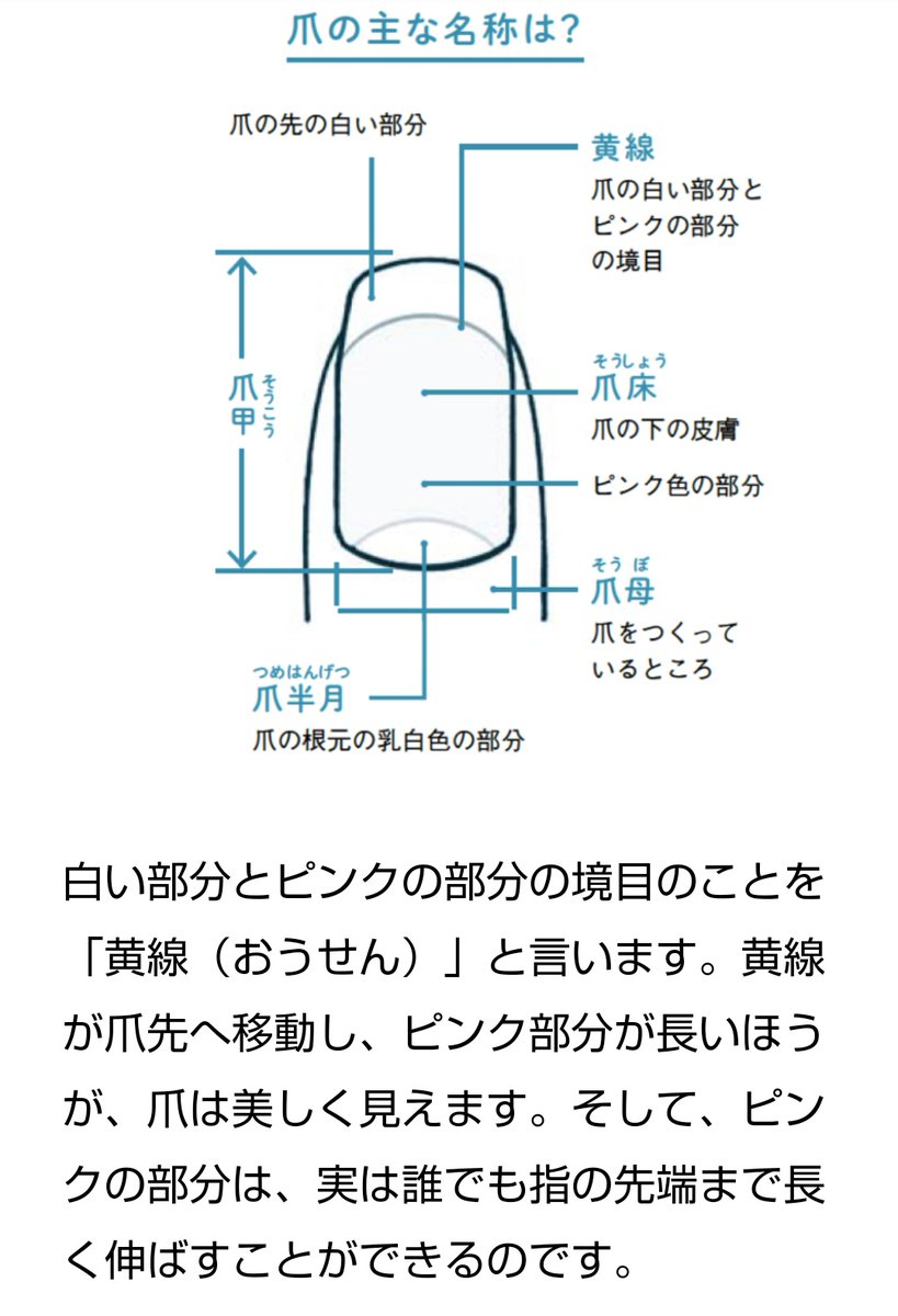 爪切りはng 生まれつきの爪の形は変えられる 美人爪を育てる3ステップ Twitter