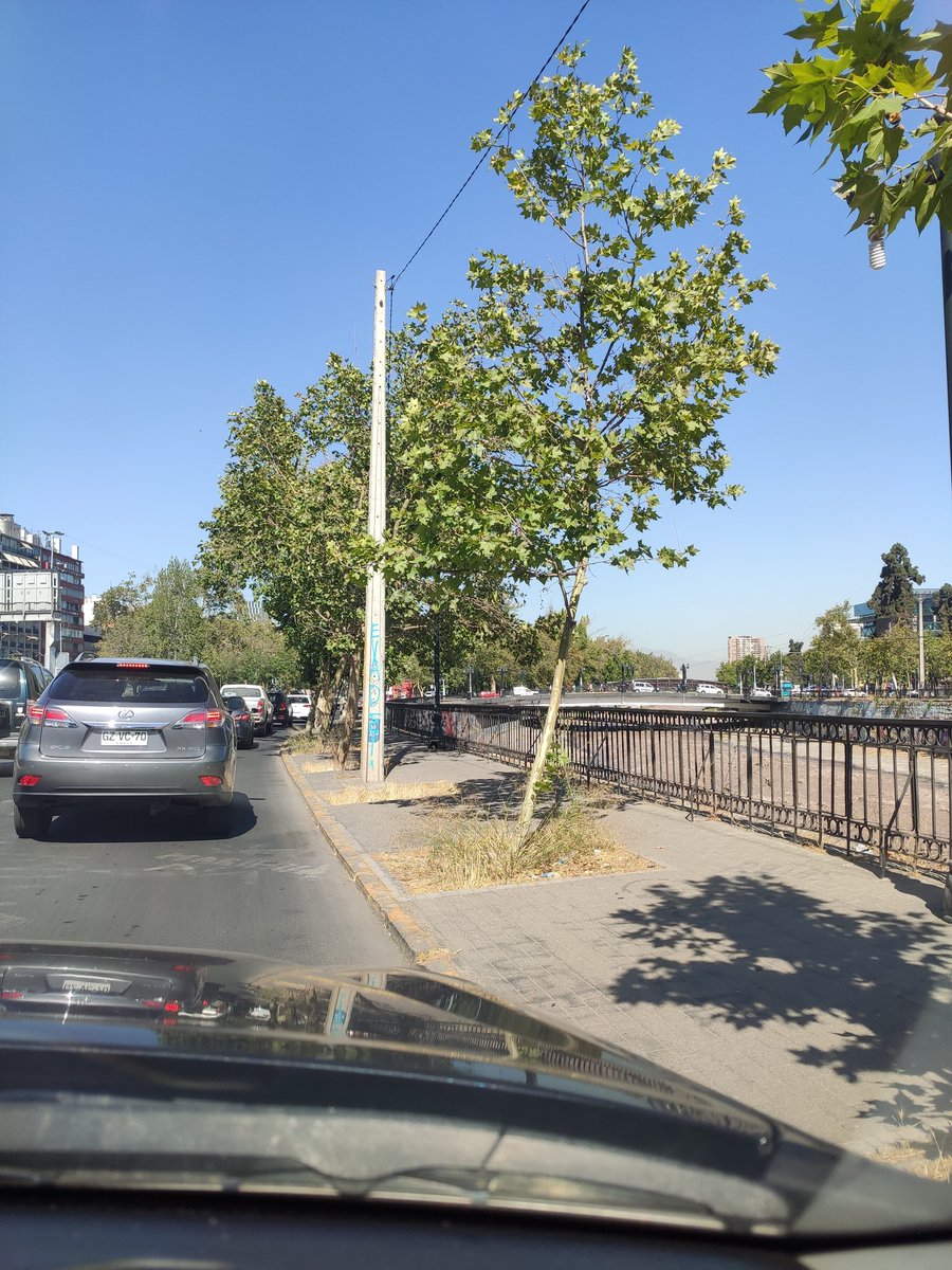 FARCChile's tweet photo. Hablan de destrucción y vándalos , pero nos olvidamos de las áreas verdes #Providencia 
@Muni_provi 
@evelynmatthei https://t.co/4hsFduTf1y