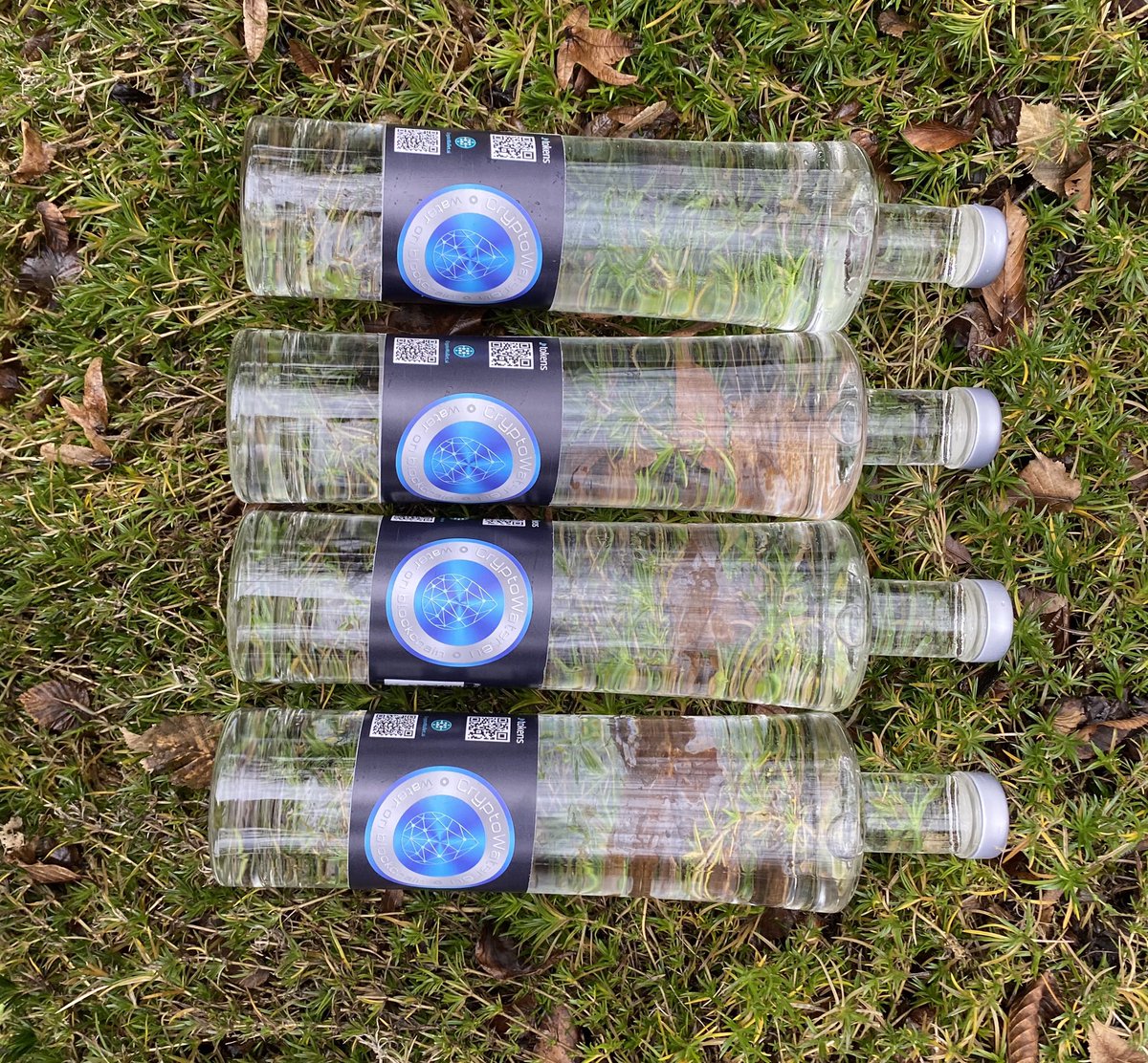CryptowaterSi's tweet photo. Special day special #timestamp aka #waterhash. #CryptoWaterTheStandard #WaterTransparency https://t.co/shWgeqZscl