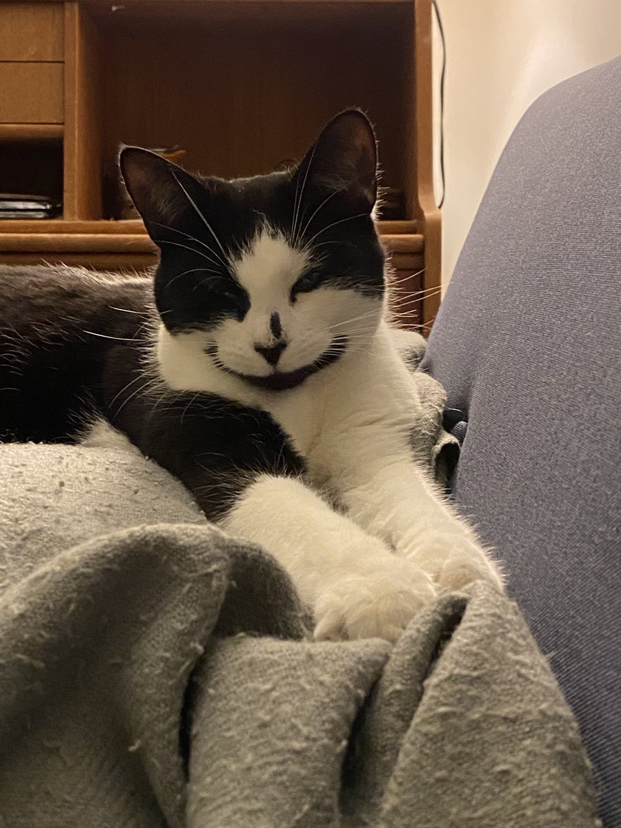 Gilbert_Yates's tweet photo. Hey @The_Blue_Cross it’s Ethel’s one year adoptiversary today! She’s loving life and we are very pleased to have found her through you... https://t.co/4dFRIKeqFW
