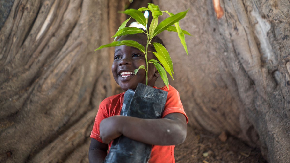 Today, December 22nd, is the last day to order our personalized tree planting certificates for your loved ones in time for the holidays.🌳

Give the gift that keeps on growing, order your tree planting certificate today: sforce.co/3kPaLTg

#TreesfortheFuture #WeBelieve