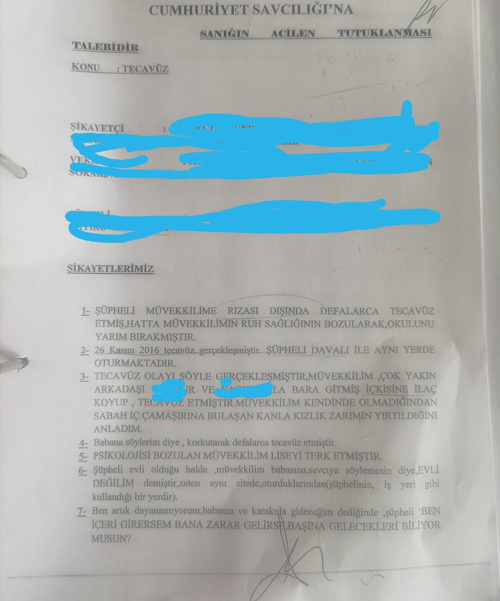 Şu şeyi (dilekçe demeye yürek el vermez) okuyunca mesleğim adına utandım. 
Kimsenin avukatlığı bu derece alçaltmaya hakkı yok.  
İmzaladığınız dilekçe siz yokken adınıza konuşur, yokluğunuzda sizi temsil eder. 
Bunu yazan kişi kendine, mesleğine bu temsili nasıl reva görür?