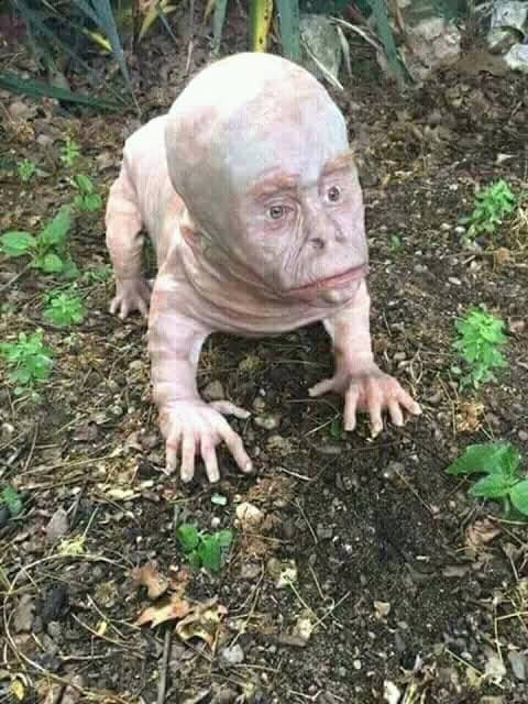 Ukuthwala : Making A Deal With The Devil 😈 I've just watched a movie about this very topic. Yikes! Eeeeey I cannot friends!!! I've dreaded talking about this for as long as