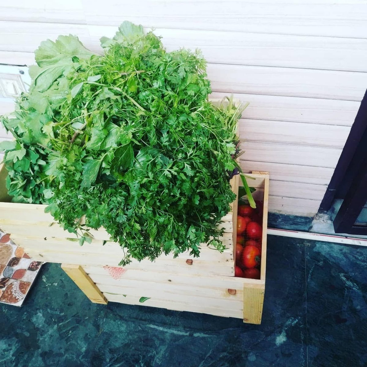 naveenjakharITS's tweet photo. @EekamFarms my dear friends Dr. Rupesh Tyagi, Sh. Sanchit Agarwal and team- You guys are doing a wonderful work. 
Best wishes for mission- " ज़हर मुक्त खेती " 
Friends in Delhi NCR - kindly give it a try. https://t.co/Y2xLCPMmho 
Eat Healthy, Stay Healthy. https://t.co/hmuiw66XJg