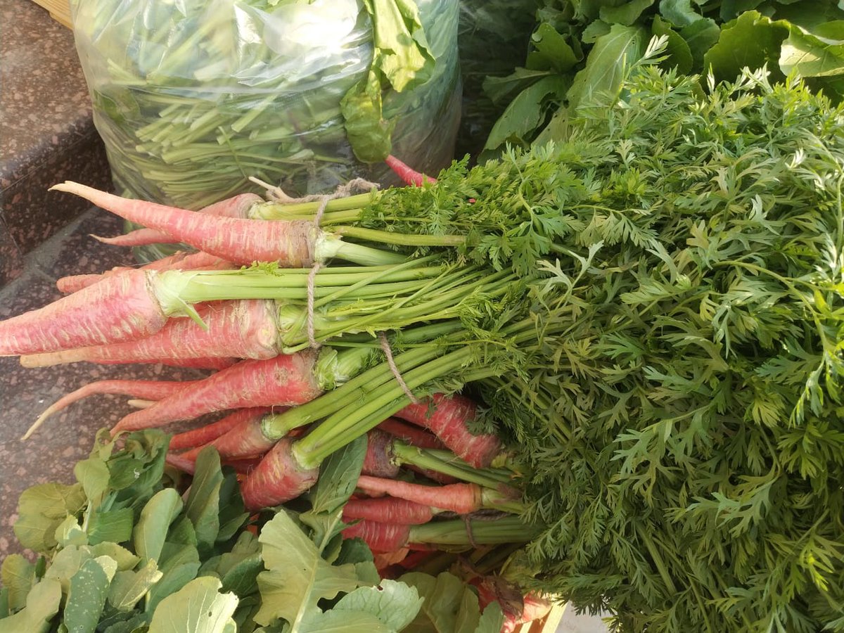 naveenjakharITS's tweet photo. @EekamFarms my dear friends Dr. Rupesh Tyagi, Sh. Sanchit Agarwal and team- You guys are doing a wonderful work. 
Best wishes for mission- " ज़हर मुक्त खेती " 
Friends in Delhi NCR - kindly give it a try. https://t.co/Y2xLCPMmho 
Eat Healthy, Stay Healthy. https://t.co/hmuiw66XJg