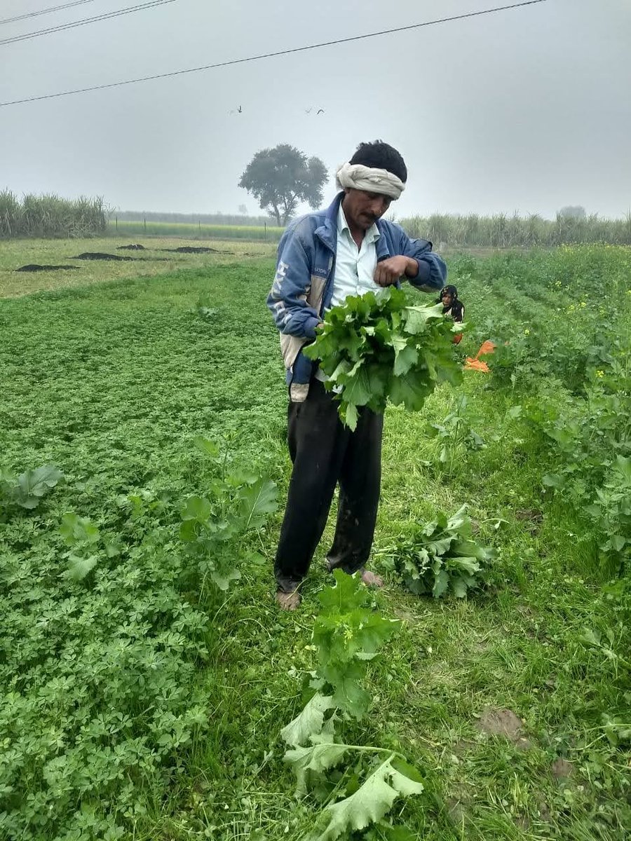 naveenjakharITS's tweet photo. @EekamFarms my dear friends Dr. Rupesh Tyagi, Sh. Sanchit Agarwal and team- You guys are doing a wonderful work. 
Best wishes for mission- " ज़हर मुक्त खेती " 
Friends in Delhi NCR - kindly give it a try. https://t.co/Y2xLCPMmho 
Eat Healthy, Stay Healthy. https://t.co/hmuiw66XJg