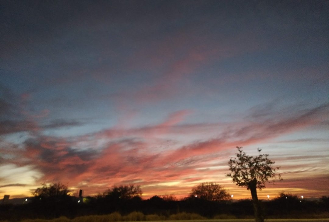 GobDeCoahuila's tweet photo. Buenos días #Coahuila 🌞
Que tengan un gran día.
#FelizMartesATodos
#FuerteCoahuilaEs 
#AmanecerCoahuila https://t.co/rOrDdZIaVJ