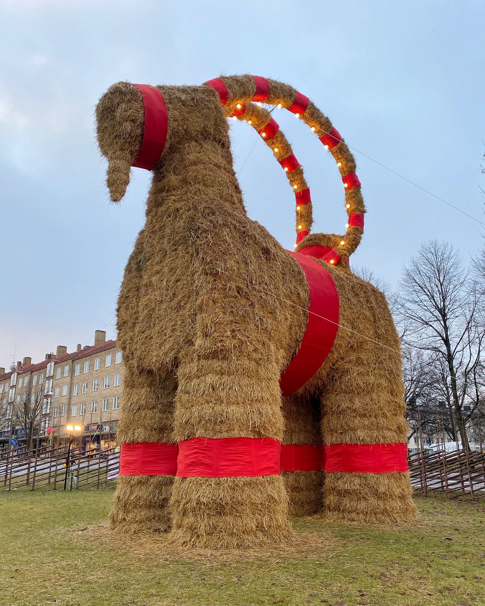 Gävlebocken tweet media