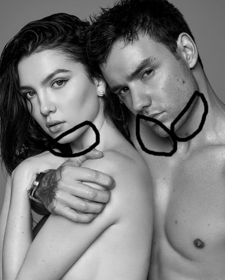 compare Li's chin shadow with M's. The light source appears to be coming from the left (their perspective), our right. so what is that weird thing near Li's chin that ISN'T a shadow? Oh, it's a weird blur...strange. Isn't this a professional photohoot done?