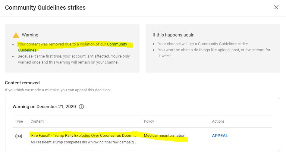 Very disturbing news: YouTube has pulled an episode of the Ron Paul Liberty Report and issued a "warning" that any more violations will result in our not being able to put up more programs. The episode was a news report on a Trump rally - they said it is "medical misinformation."