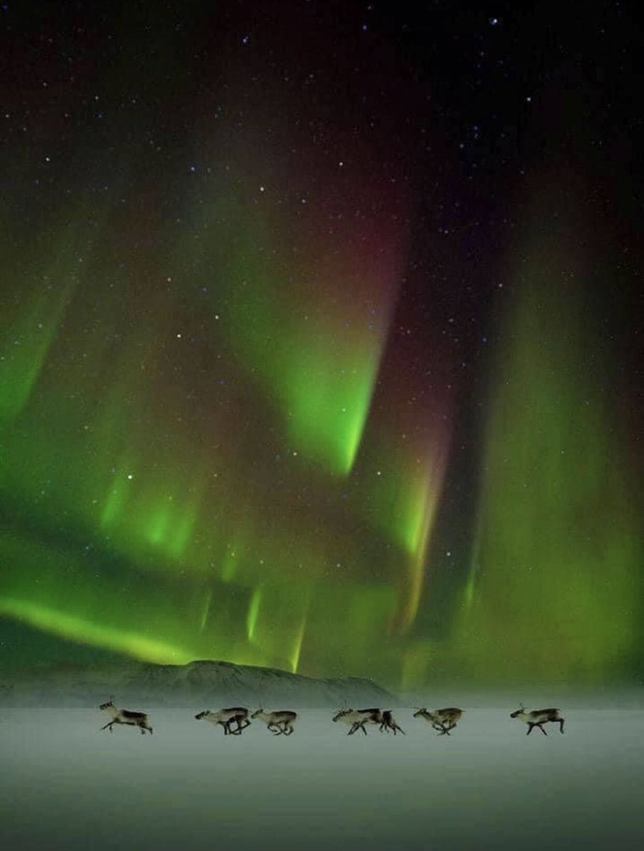 Heather Abernathy, PhD tweet media