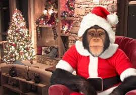 MonkeyMorning's tweet photo. Holiday Hours: Closing at 12pm on 12/24 and Closed all Day on 12/25. Closed New Years Day. Merry Christmas and Happy New Year to all of you. #haveamonkeymorning #christmas #daytonabeach #family #greatful https://t.co/l0ud13qzZh