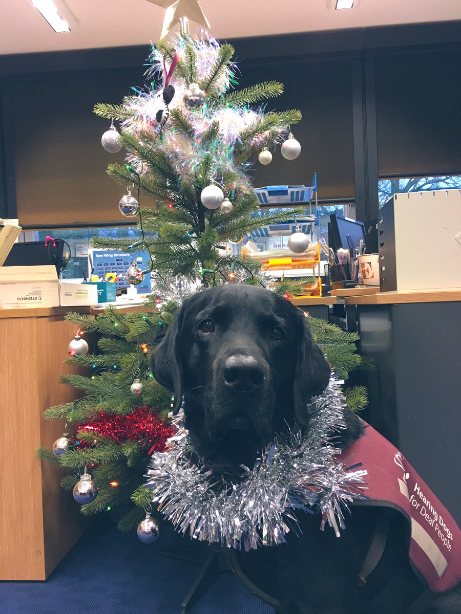 As the Wing is now in Tier 4, one thing we have learnt from this pandemic is what technology there is out there for staying connected. If you are unable to visit any members of your family or friends over Christmas, remember to reach out to them. @OCHertsBucks <a href="/RAFAC_MHealth/">RAFAC Mental Health</a>