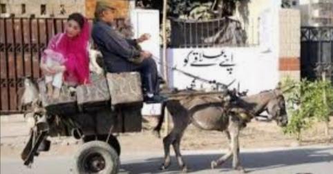 🇵🇰 Sohail Ahmed Ch 🇵🇰 tweet media