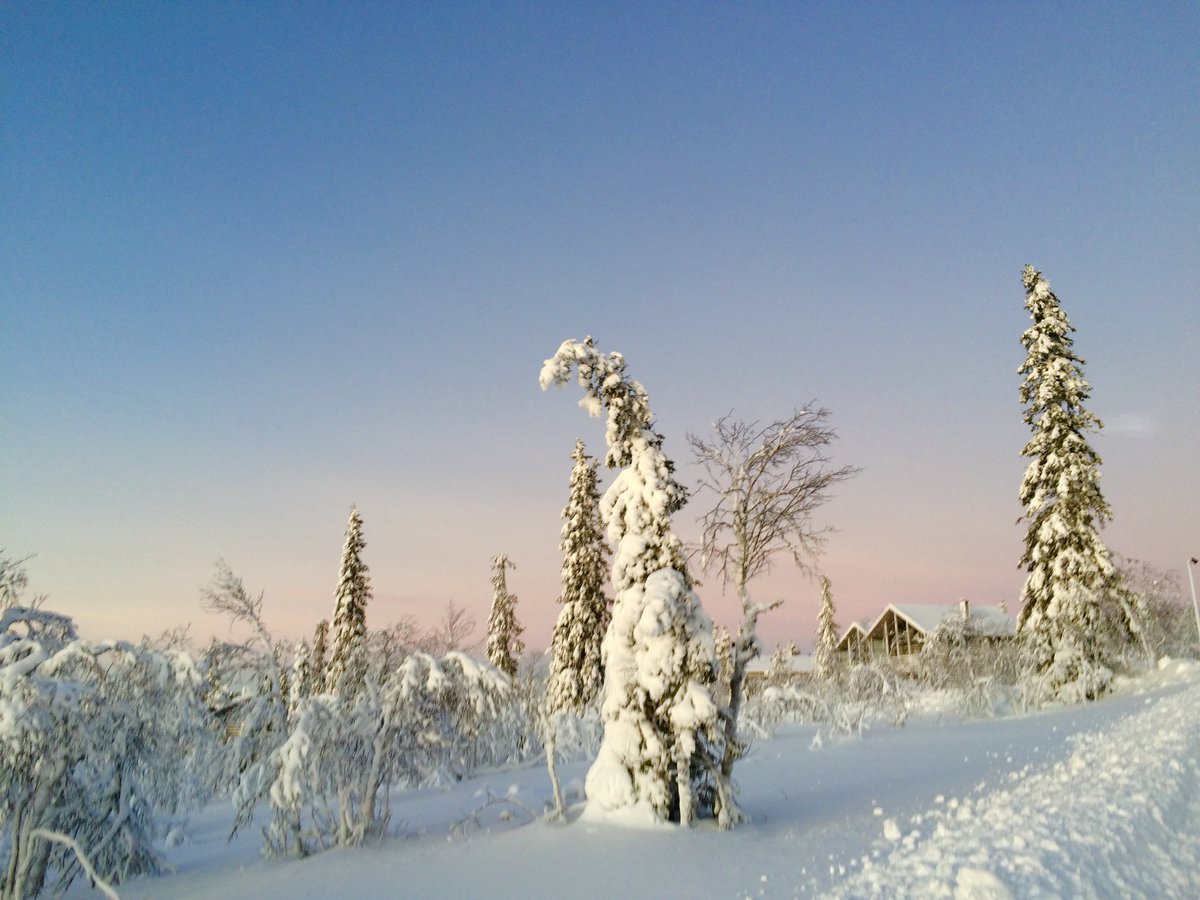 田中亜土夢 北の国フィンランドの冬至 Talvipaivanseisaus タルヴィパイヴァンセイサウス 年12月21日 冬至 一年で最も日が短い日 僕の住むヘルシンキでは日の出が9 24 日の入りが15 13 今日は天気も曇りだったので更に明るい時間が短く感じた 記事