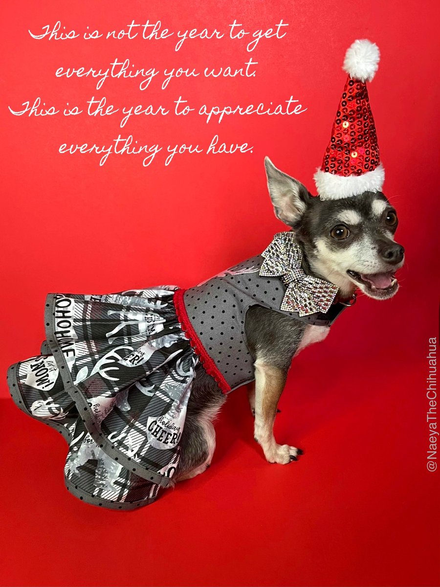 Rustylinda's tweet photo. Merry Christmas ! #Christmas2020 https://t.co/bBXgwjF3OZ