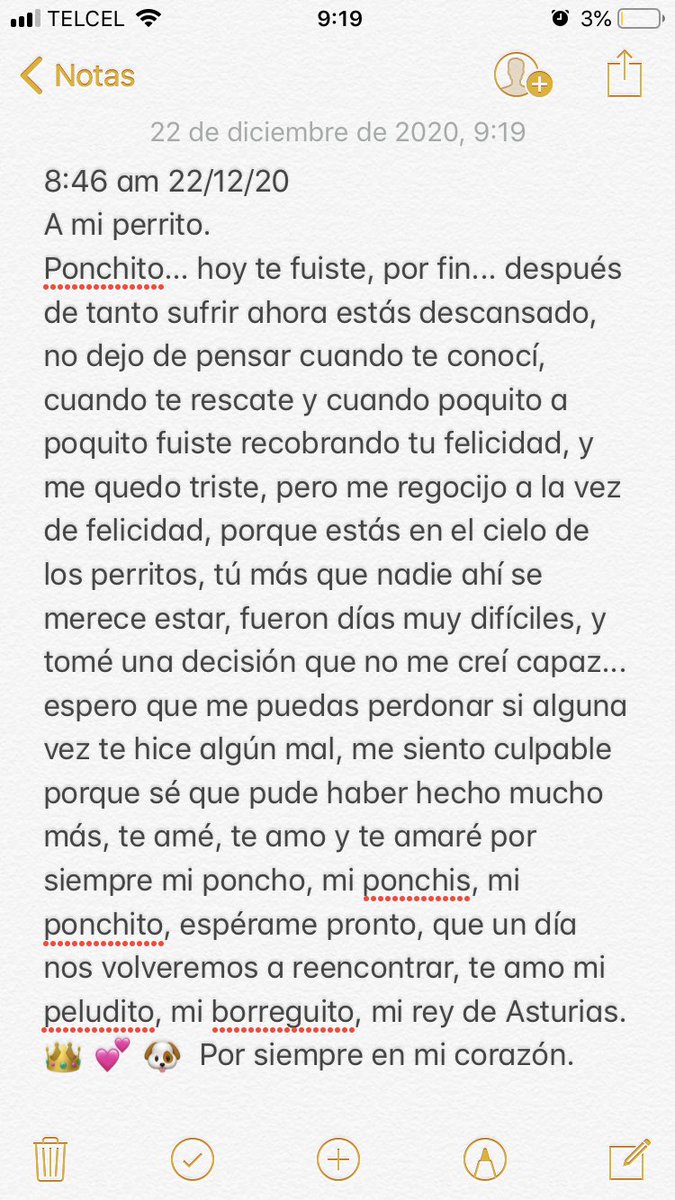 Daniel_Nvt's tweet photo. A ti, mi ponchito. 💕 🐶 https://t.co/t8kyEGteIi