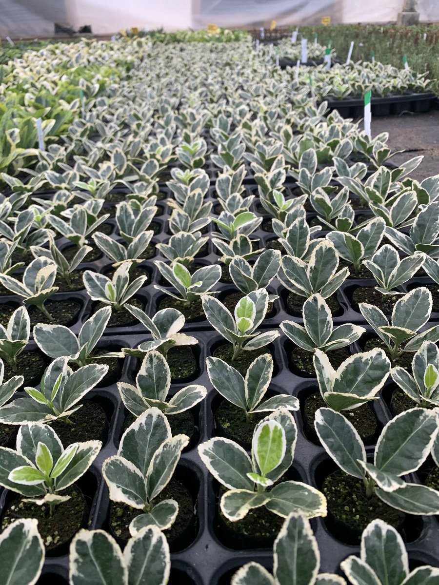 Neil Alcock tweet media