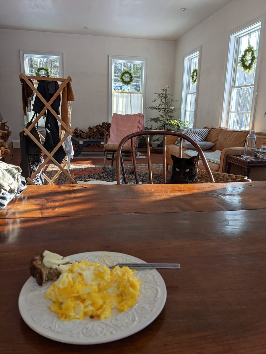 this morning Squeak is mad I did not make him omelette