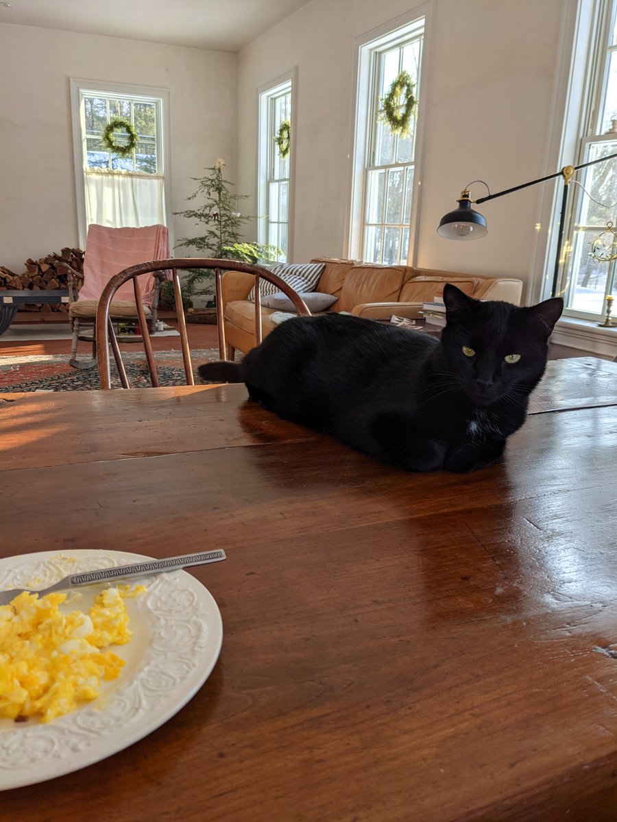 this morning Squeak is mad I did not make him omelette