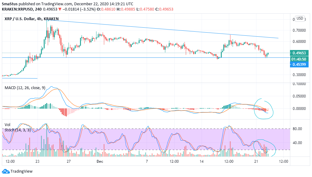 Stoic Silver Bear tweet media