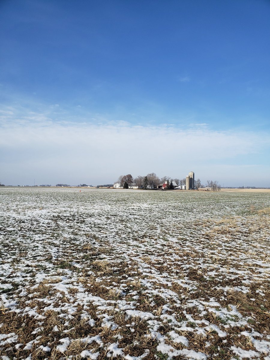 theLucasDB's tweet photo. #CoverCropChristmas
#soilhealth
#AmericanSoybeanAssociation https://t.co/7Y3FxBNYvK