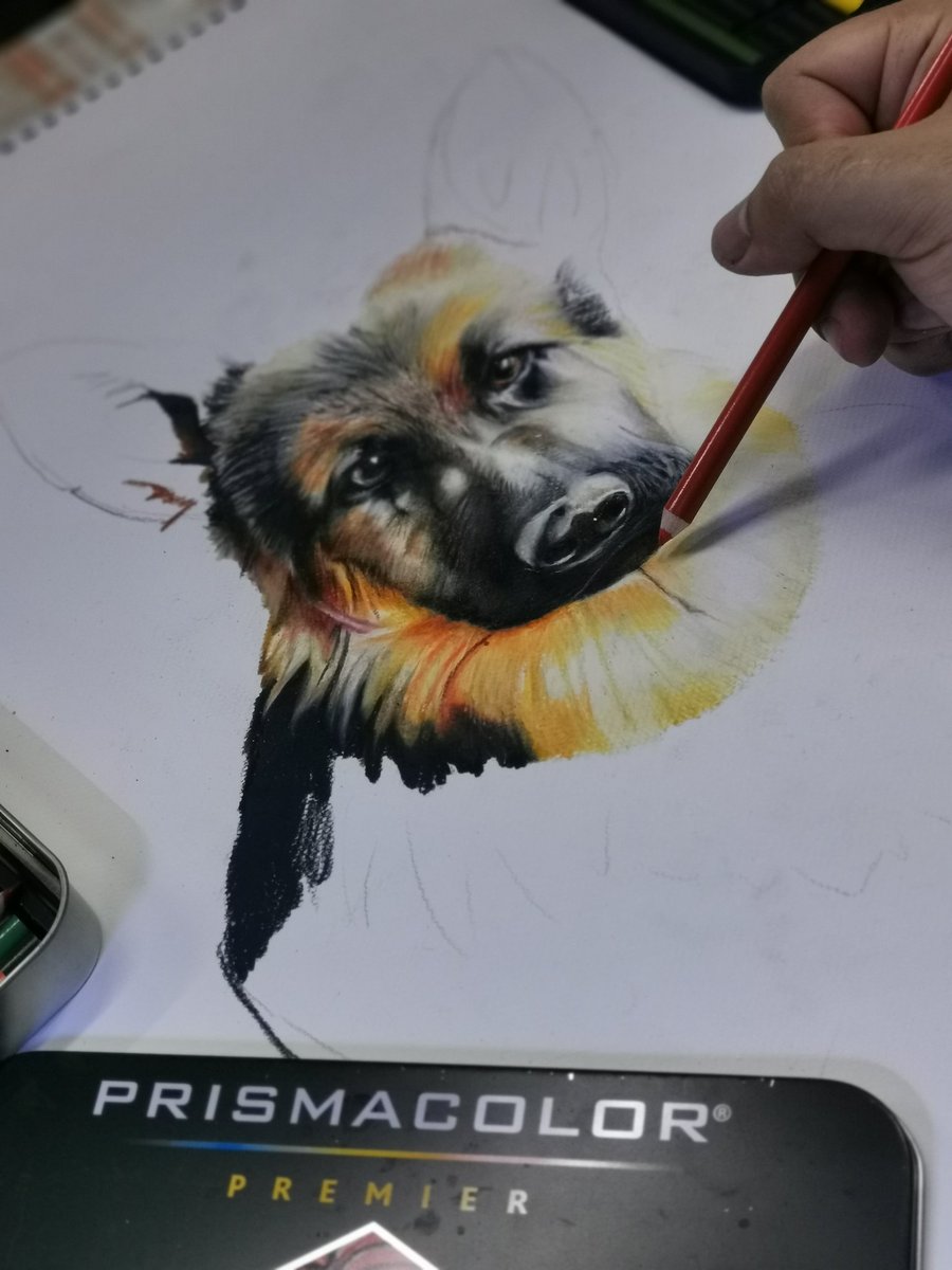 TheKenSalazar1's tweet photo. Work in progress...
I will give life to you soon..1.. I love sketching lalo na pag sad or bored ako.. So.. Ito muna pagkakalibangan ko
#pinoyartist #artist #art #artwork #prisma #coloredpencils #drawing #pet #Dog #hobbyist #artistsoninstagram #fbart #artistonfacebook #guhit https://t.co/Bk6V3PVXVw