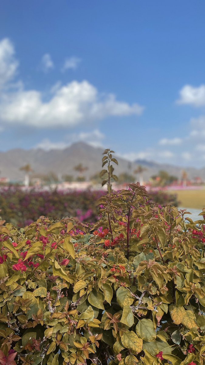 its.noyer tweet media