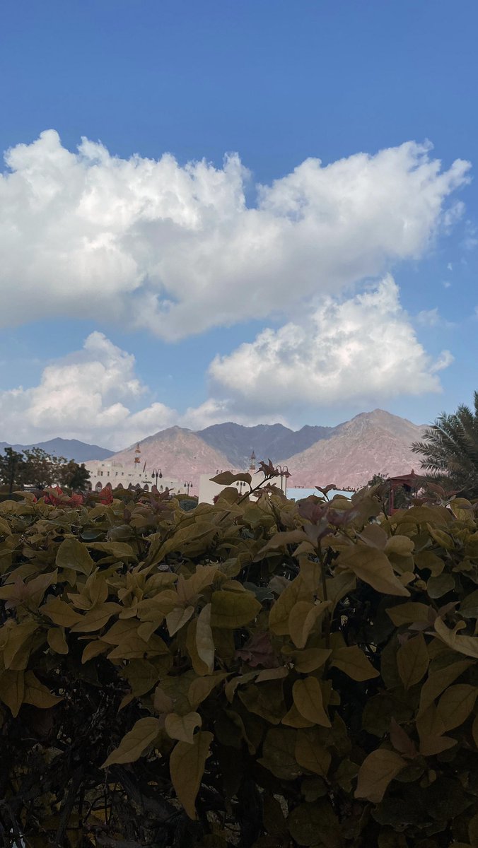 its.noyer tweet media