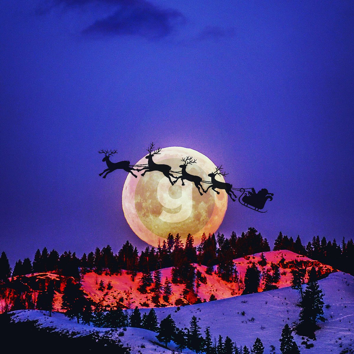 gomotionbv's tweet photo. Go Dasher, Go Dancer, Go Prancer, Gomotion!

#merychristmas #fijnefeestdagen https://t.co/4vWi9UneMc