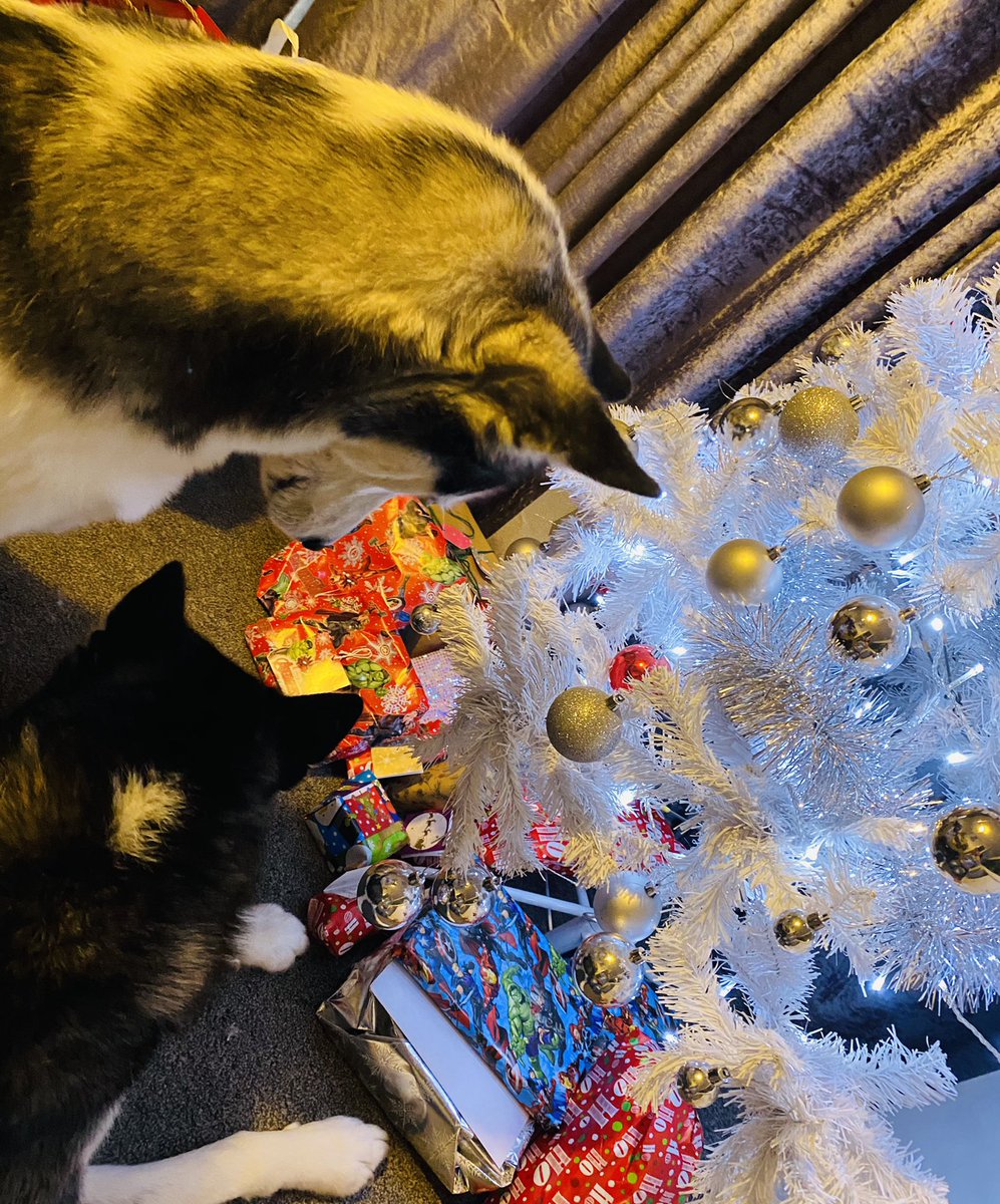 Merry Christmas 🥰