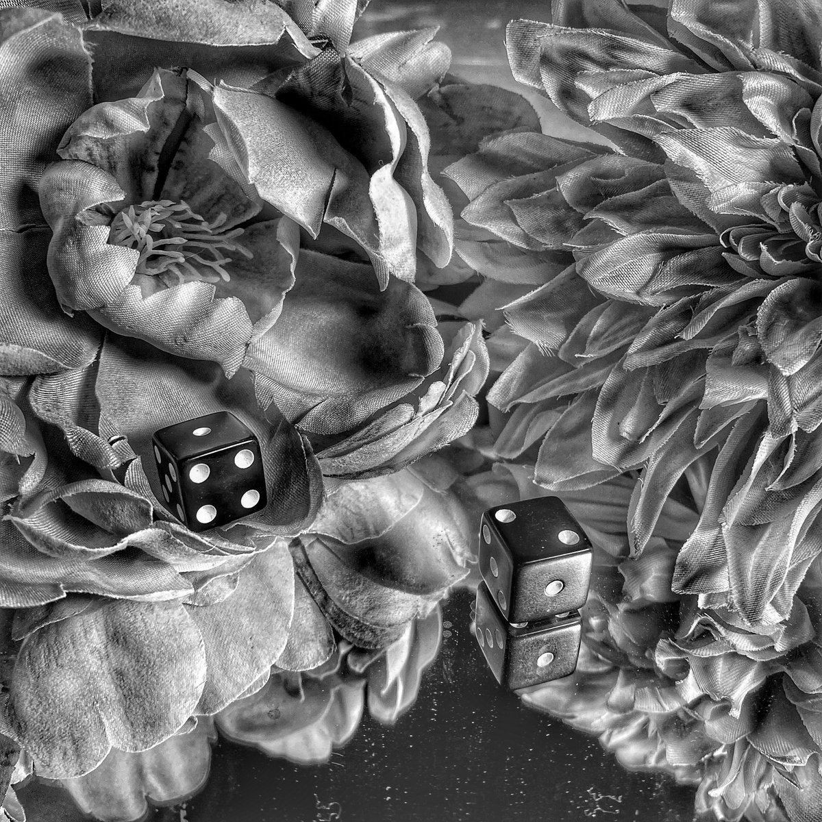 geneseo_art's tweet photo. βChanceβ. This is the theme for Maraβs sustained investigation for her AP Portfolio. Here are a couple of examples with much more to come! _ #apart #sustainedinvestigation #photography #chance @geneseo_hs @GeneseoCSD https://t.co/I27iDNm286