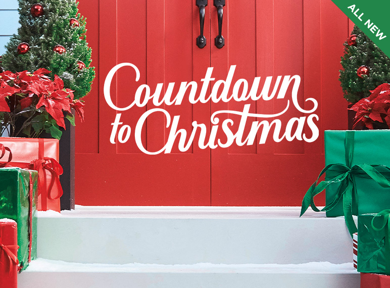 cofccepe's tweet photo. Count down to Christmas begins, sure it wont be a white snowy Christmas here in Charleston but it is the best holiday of the year...
#cofc #cepe #Christmas Spirit https://t.co/ImdQ9NzJ2t