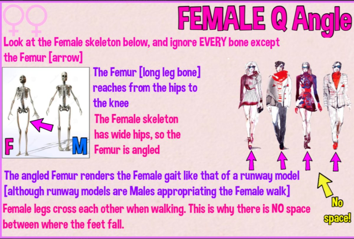 3/3TAYLOR SWIFT EXCLUSIVELY DATES FTM TRANSGENDERS