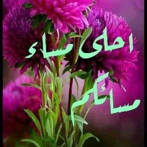 <a href="/NKozmtk/">نهاد مقداد الآوسي⁩⁦❤️⁩🇮🇶⁩</a> @wwwwtearsofroso