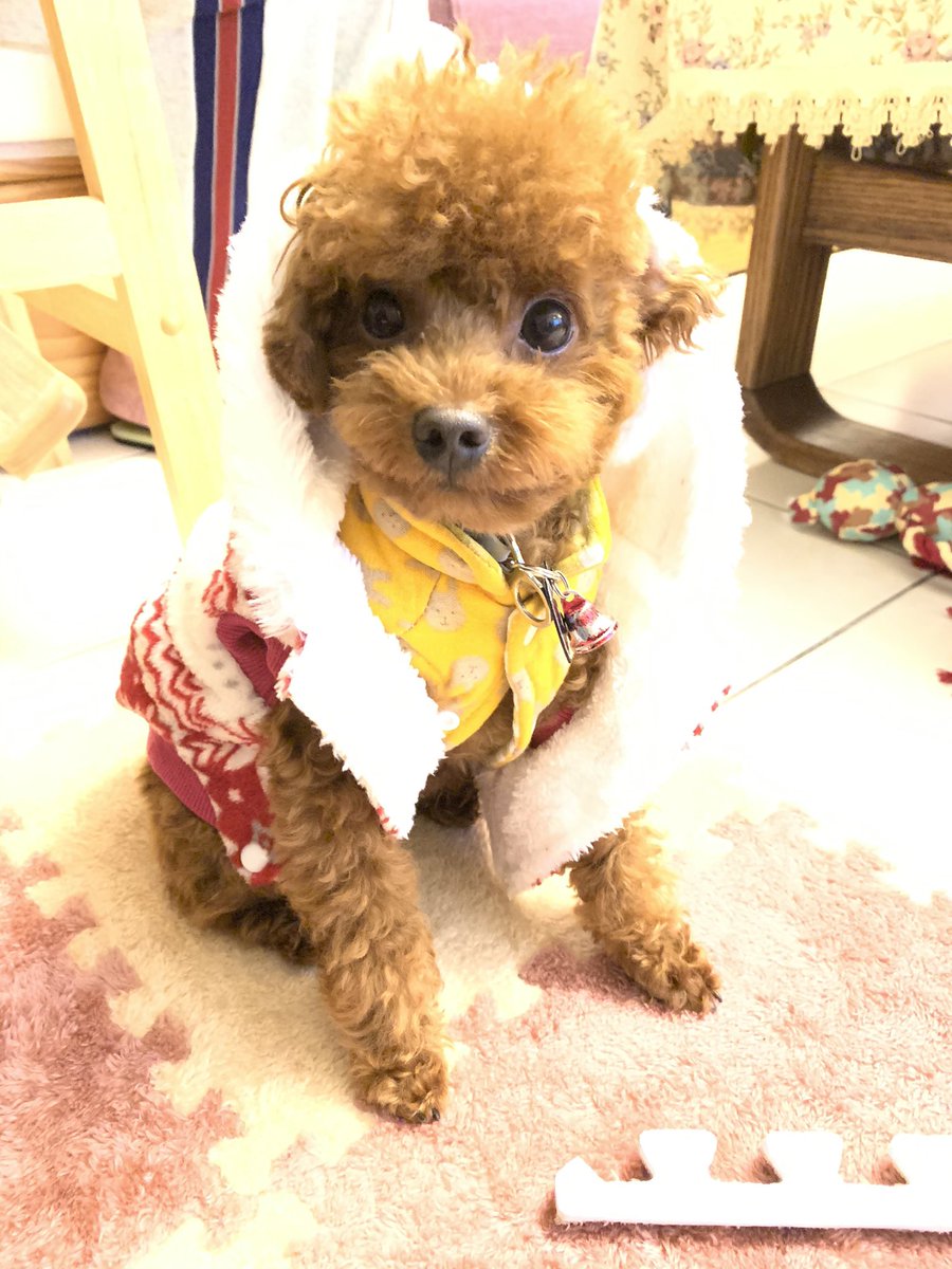 yokiya0606's tweet photo. Sweet boy 😘😘😘 https://t.co/x921TuKL5P