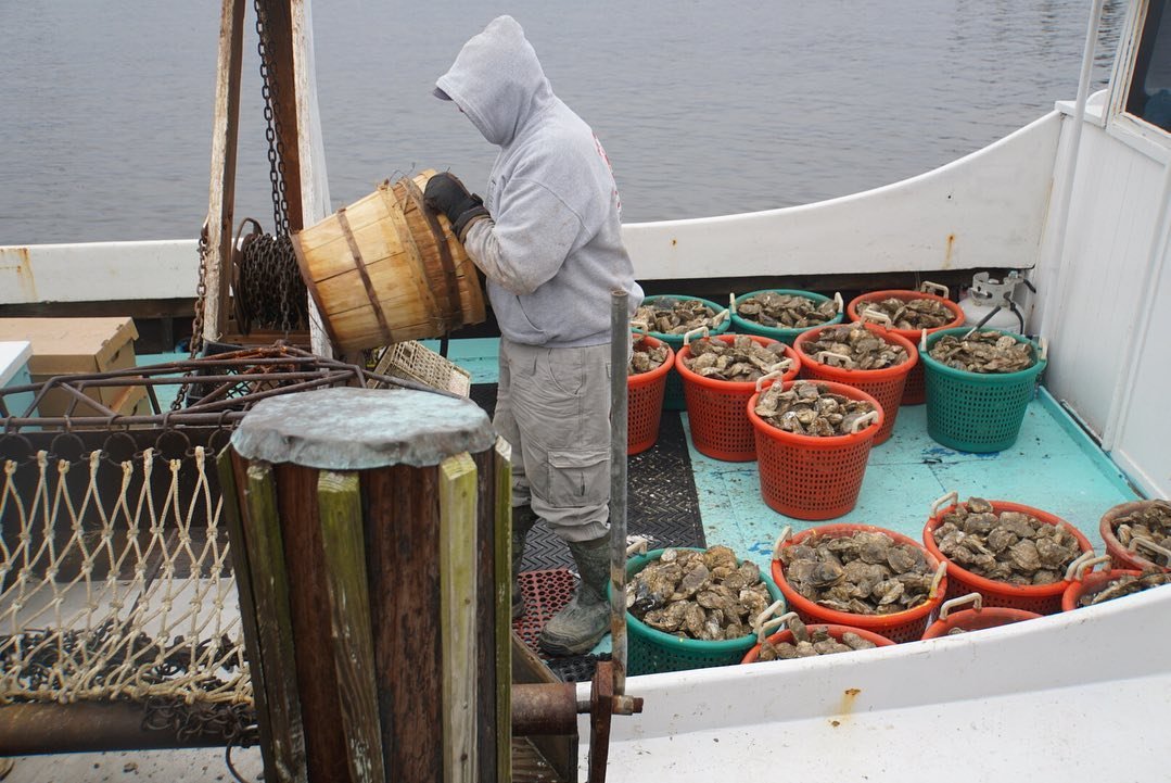 teamupstream's tweet photo. Pickup your pre-orders from 2-8pm today! We have 10 bushels of wild oysters, 1000 aquaculture oysters, and 29 cakes from Smith Island.
To hear more, join our #ConservationCelebrityCheckIn tomorrow with Mary Ada Marshall!
#delicious #shoplocal #eatlocal #cake #oysters #holiday https://t.co/tR9ydTeIxr